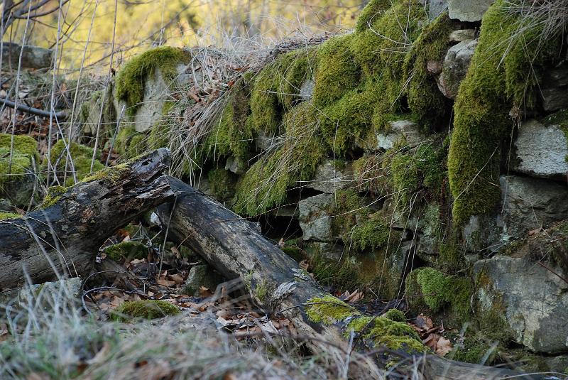 DSC_5175.JPG
