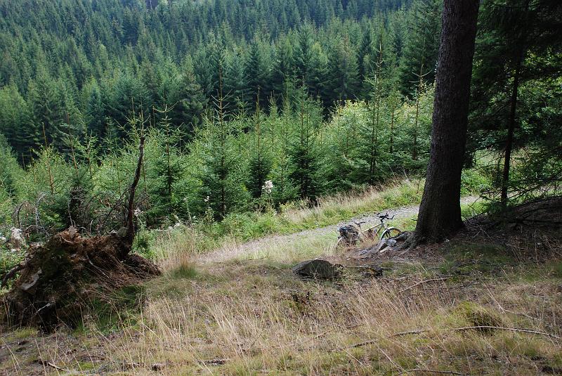 DSC_0843044.JPG