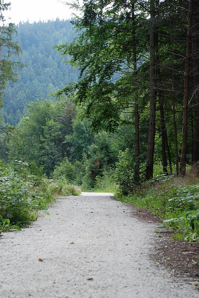 DSC_0905051.JPG
