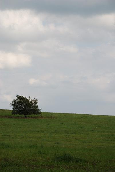 DSC_1520105.JPG