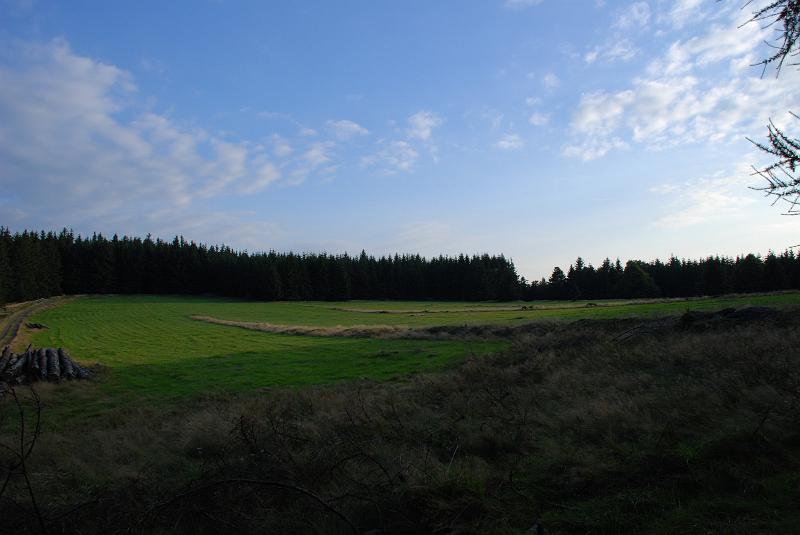 DSC_1644113.JPG