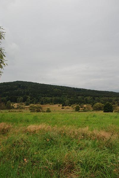 DSC_1739124.JPG