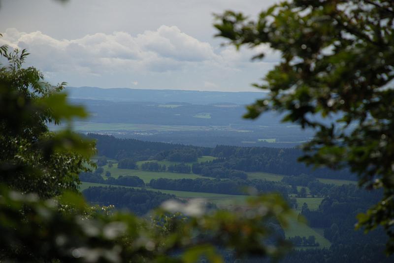 DSC_1999141.JPG