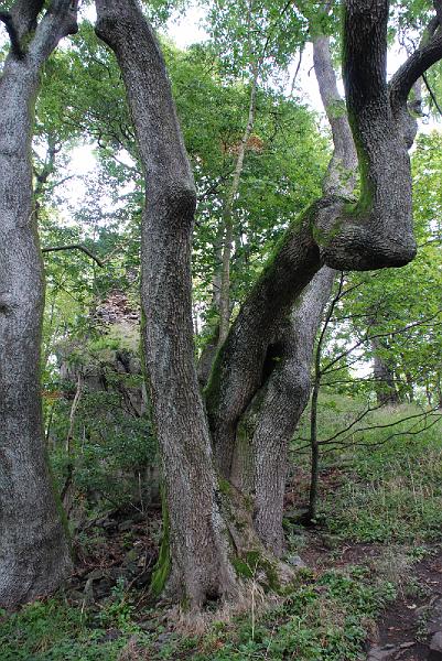 DSC_2039142.JPG