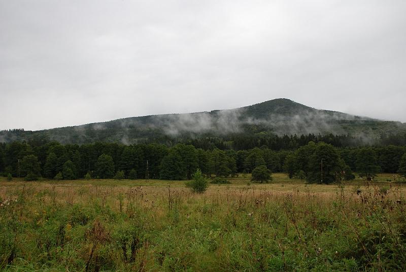 l_05196.JPG